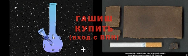 стаф Магас