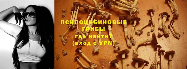 герыч Майский