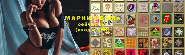 стаф Магас