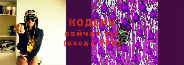 стаф Магас